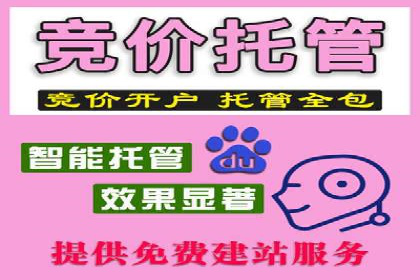 社交平台信息流广告推广的典型案例分析